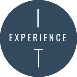 IT EXPERIENCE